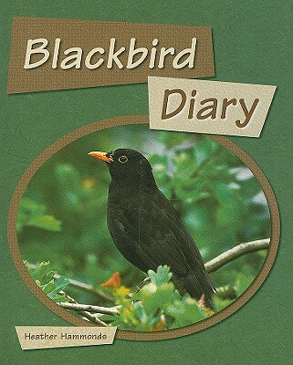 ISBN 9781418917678 Blackbird Diary Teacher's/STECK VAUGHN C0/Heather Hammonds 本・雑誌・コミック 画像