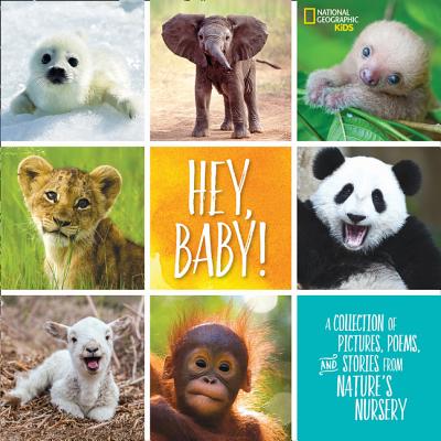 ISBN 9781426329319 Hey, Baby!: A Collection of Pictures, Poems, and Stories from Nature's Nursery/NATL GEOGRAPHIC SOC/Stephanie Warren Drimmer 本・雑誌・コミック 画像