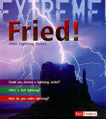 ISBN 9781429631419 Fried!: When Lightning Strikes/CAPSTONE PR/Kay Barnham 本・雑誌・コミック 画像