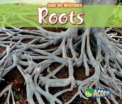 ISBN 9781432909420 Roots/HEINEMANN LIB/Charlotte Guillain 本・雑誌・コミック 画像