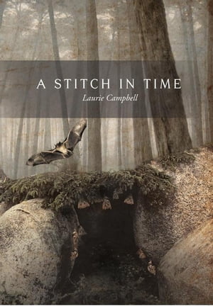 ISBN 9781466902268 A STITCH IN TIME 本・雑誌・コミック 画像