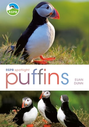 ISBN 9781472965202 RSPB Spotlight: Puffins Euan Dunn 本・雑誌・コミック 画像