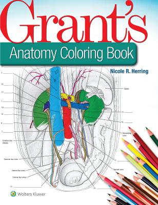 ISBN 9781496351258 Grant's Anatomy Coloring Book/LIPPINCOTT WILLIAMS & WILKINS/Nicole R. Herring 本・雑誌・コミック 画像