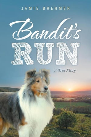 ISBN 9781496902504 Bandit's RunA True Story 本・雑誌・コミック 画像