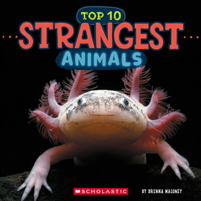 ISBN 9781546136057 Strangest Animals (Wild World: Top 10)/CHILDRENS PR/Brenna Maloney 本・雑誌・コミック 画像