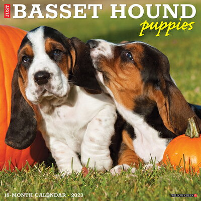 ISBN 9781549224720 Just Basset Hound Puppies 2023 Wall Calendar/WILLOW CREEK PR/Willow Creek Press 本・雑誌・コミック 画像