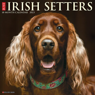 ISBN 9781549226472 Just Irish Setters 2023 Wall Calendar /WILLOW CREEK PR/Willow Creek Press 本・雑誌・コミック 画像