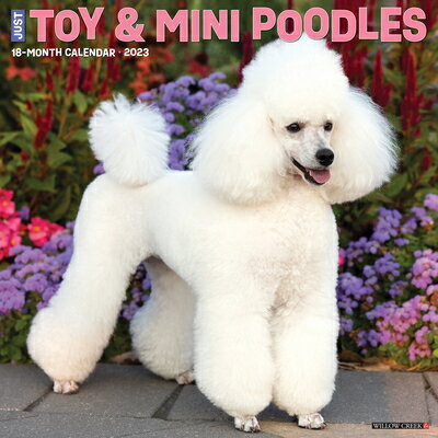 ISBN 9781549227905 Just Toy & Miniature Poodles 2023 Wall Calendar /WILLOW CREEK PR/Willow Creek Press 本・雑誌・コミック 画像