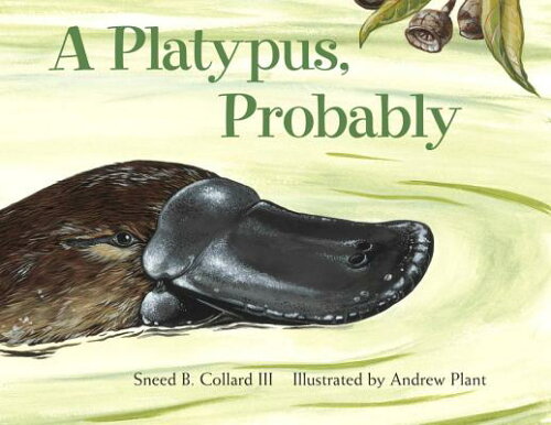 ISBN 9781570915840 A Platypus, Probably/CHARLESBRIDGE PUB/Sneed B. Collard 本・雑誌・コミック 画像