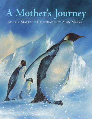 ISBN 9781570916212 A Mother's Journey/CHARLESBRIDGE PUB/Sandra Markle 本・雑誌・コミック 画像