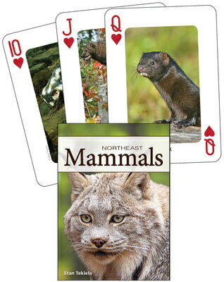 ISBN 9781591933885 Mammals of the Northeast Playing Cards/ADVENTURE PUBN/Stan Tekiela 本・雑誌・コミック 画像