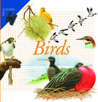 ISBN 9781592700585 Birds/ENCHANTED LION BOOKS/Maria Angeles Julivert 本・雑誌・コミック 画像