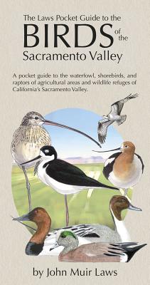 ISBN 9781597142670 The Laws Pocket Guide to the Birds of the Sacramento Valley: Birds of the Sacramento Valley/HEYDAY BOOKS/John Muir Laws 本・雑誌・コミック 画像