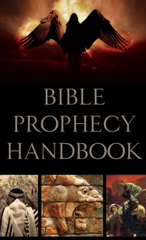 ISBN 9781602608740 Bible Prophecy Handbook/BARBOUR PUB INC/Carol Smith 本・雑誌・コミック 画像