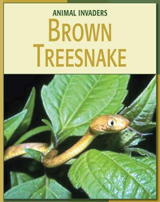 ISBN 9781602792395 Brown Treesnake/CHERRY LAKE PUB/Barbara A. Somervill 本・雑誌・コミック 画像