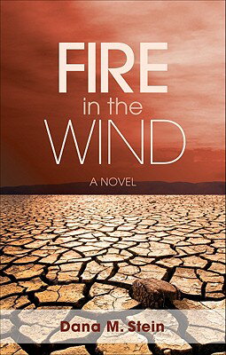 ISBN 9781616633424 Fire in the Wind/TATE PUB/Dana M. Stein 本・雑誌・コミック 画像