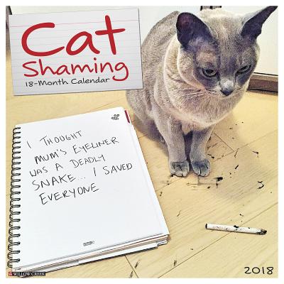 ISBN 9781682344408 Cat Shaming 2018 Wall Calendar/WILLOW CREEK PR/Willow Creek Press 本・雑誌・コミック 画像