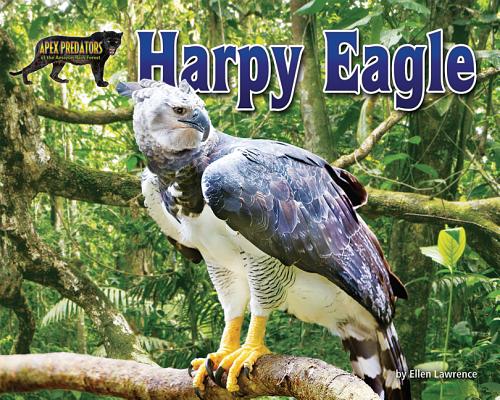 ISBN 9781684020294 Harpy Eagle/BEARPORT PUB CO INC/Ellen Lawrence 本・雑誌・コミック 画像