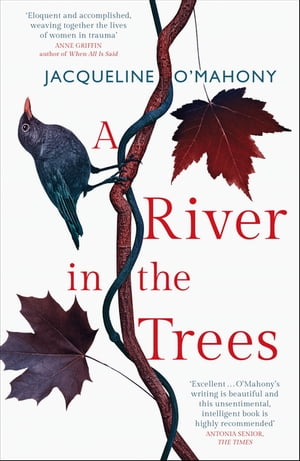 ISBN 9781787473553 A River in the Trees Jacqueline O'Mahony 本・雑誌・コミック 画像