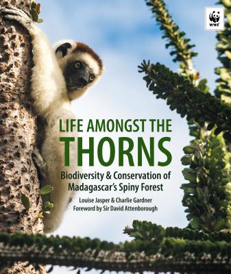 ISBN 9781909612679 Life Amongst the Thorns: Biodiversity & Conservation of Madagascar's Spiny Forest/JOHN BEAUFOY/Louise Jasper 本・雑誌・コミック 画像