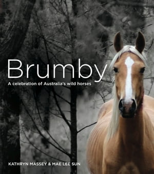 ISBN 9781921966224 BrumbyA Celebration of Australia's Wild Horses 本・雑誌・コミック 画像