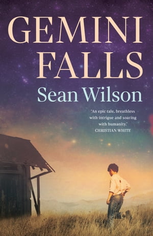 ISBN 9781922806390 Gemini Falls Sean Wilson 本・雑誌・コミック 画像