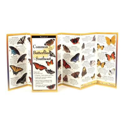 ISBN 9781935380016 Common Butterflies of the Southeast/STEVEN M LEWERS & ASSOC/Rick Cech 本・雑誌・コミック 画像