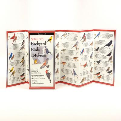 ISBN 9781935380641 Sibley's Backyard Birds of the Midwest/STEVEN M LEWERS & ASSOC/David Allen Sibley 本・雑誌・コミック 画像