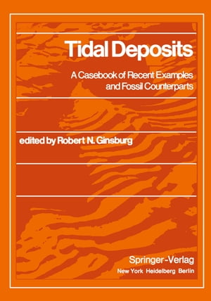 ISBN 9783642884962 Tidal Deposits A Casebook of Recent Examples and Fossil Counterparts 本・雑誌・コミック 画像