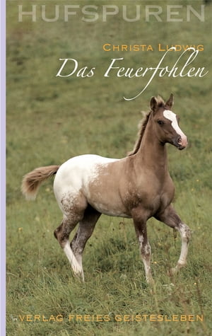 ISBN 9783772523656 Hufspuren: Das Feuerfohlen 本・雑誌・コミック 画像