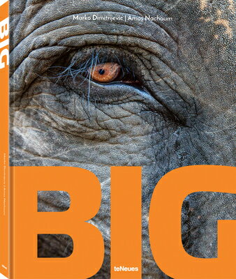 ISBN 9783961713851 Big: A Photographic Album of the World's Largest Animals English and Ger/TE NEUES/Marko Dimitrijevic 本・雑誌・コミック 画像