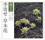 ISBN 9784022580443 季寄せ-草木花 春・上/朝日新聞出版/朝日新聞社 朝日新聞出版 本・雑誌・コミック 画像