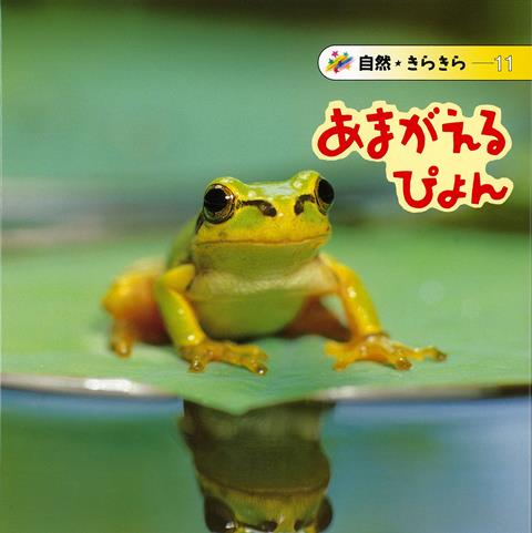 ISBN 9784033441108 あまがえるぴょん   /偕成社/久保秀一 偕成社 本・雑誌・コミック 画像