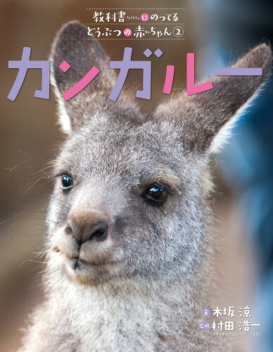 ISBN 9784034148204 カンガルー   /偕成社/木坂涼 偕成社 本・雑誌・コミック 画像