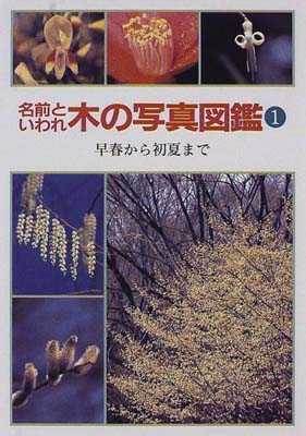 ISBN 9784035294603 名前といわれ木の写真図鑑  １ /偕成社/杉村昇 偕成社 本・雑誌・コミック 画像