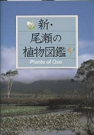 ISBN 9784035295105 新・尾瀬の植物図鑑   /偕成社/新井幸人 偕成社 本・雑誌・コミック 画像