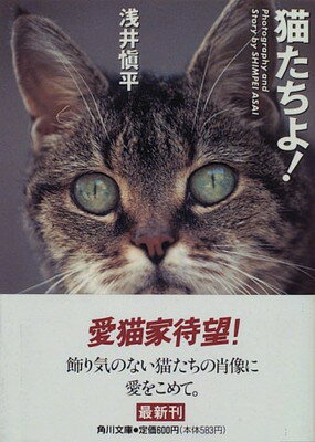 ISBN 9784041541036 猫たちよ！   /角川書店/浅井慎平 角川書店 本・雑誌・コミック 画像