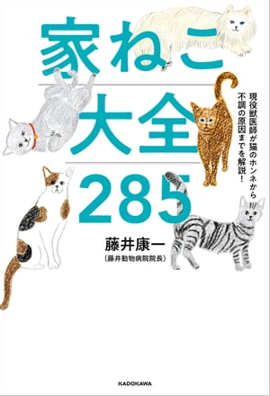 ISBN 9784046048981 家ねこ大全２８５ 現役獣医師が猫のホンネから不調の原因までを解説！  /ＫＡＤＯＫＡＷＡ/藤井康一 角川書店 本・雑誌・コミック 画像