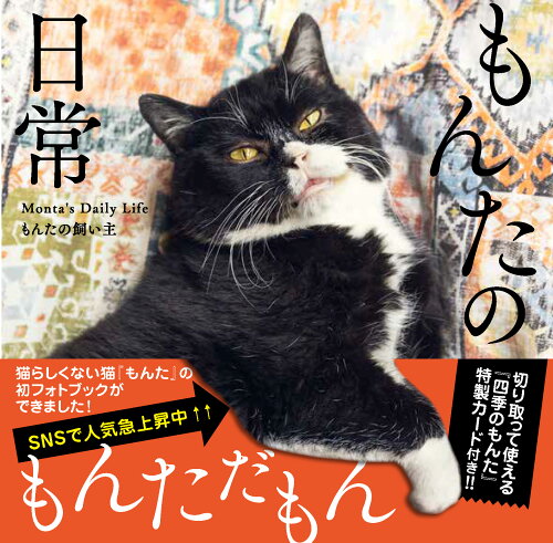 ISBN 9784046807786 もんたの日常   /ＫＡＤＯＫＡＷＡ/もんたの飼い主 角川書店 本・雑誌・コミック 画像