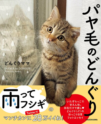 ISBN 9784046813503 パヤ毛のどんぐり   /ＫＡＤＯＫＡＷＡ/どんぐりママ 角川書店 本・雑誌・コミック 画像