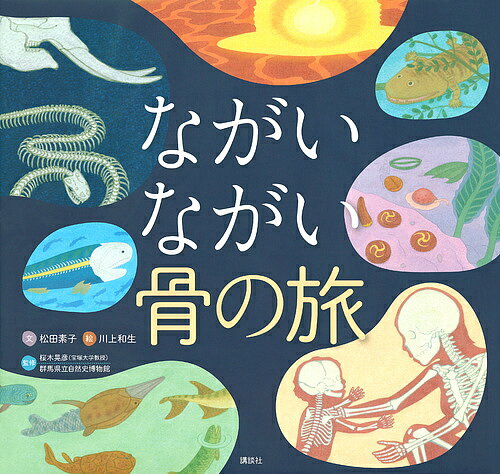 ISBN 9784062194754 ながいながい骨の旅   /講談社/松田素子 講談社 本・雑誌・コミック 画像