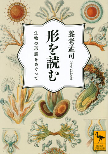 ISBN 9784065185469 形を読む 生物の形態をめぐって  /講談社/養老孟司 講談社 本・雑誌・コミック 画像