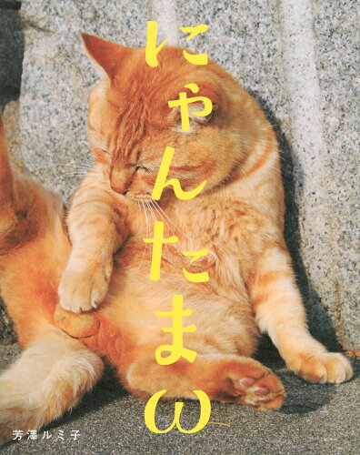 ISBN 9784065371763 にゃんたまω 講談社 本・雑誌・コミック 画像