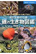 ISBN 9784072777763 磯の生き物図鑑 海の生物４５０種　磯遊びや海水浴がもっと楽しくなる  /主婦の友社/小林安雅 主婦の友社 本・雑誌・コミック 画像