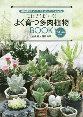 ISBN 9784074271290 これでうまくいく！よく育つ多肉植物ＢＯＯＫ 最新の栽培カレンダーと詳しいふやし方がわかる  /主婦の友社/□岡秀明 主婦の友社 本・雑誌・コミック 画像