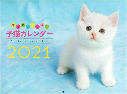 ISBN 9784074443987 ずっといっしょ。子猫カレンダー  ２０２１ /主婦の友社/主婦の友社 主婦の友社 本・雑誌・コミック 画像