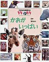 ISBN 9784092240155 ２１世紀幼稚園百科 Ｗｏｎｄｅｒ　ｏｆ　ｔｈｅ　ｗｏｒｌｄ １５ /小学館 小学館 本・雑誌・コミック 画像