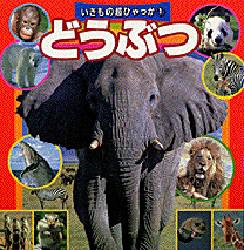ISBN 9784097506713 どうぶつ/小学館 小学館 本・雑誌・コミック 画像