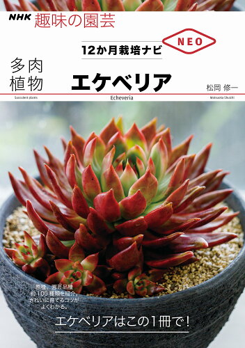 ISBN 9784140402955 多肉植物エケべリア １２か月栽培ナビＮＥＯ  /ＮＨＫ出版/松岡修一 NHK出版 本・雑誌・コミック 画像