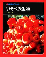 ISBN 9784251033338 いそべの生物 カラ-版  /あかね書房/川嶋一成 あかね書房 本・雑誌・コミック 画像